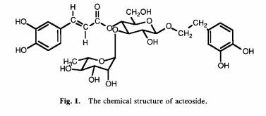 The chemical structure of acteoside in Cistanche