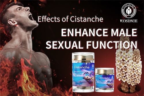 Cistanche can help treat kidney disease Cistanche can help treat kidney disease