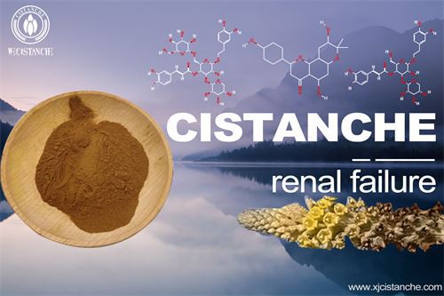 to avoid kidney transplantation