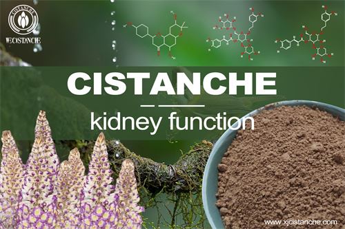 to prevent kidney function to prevent kidney function