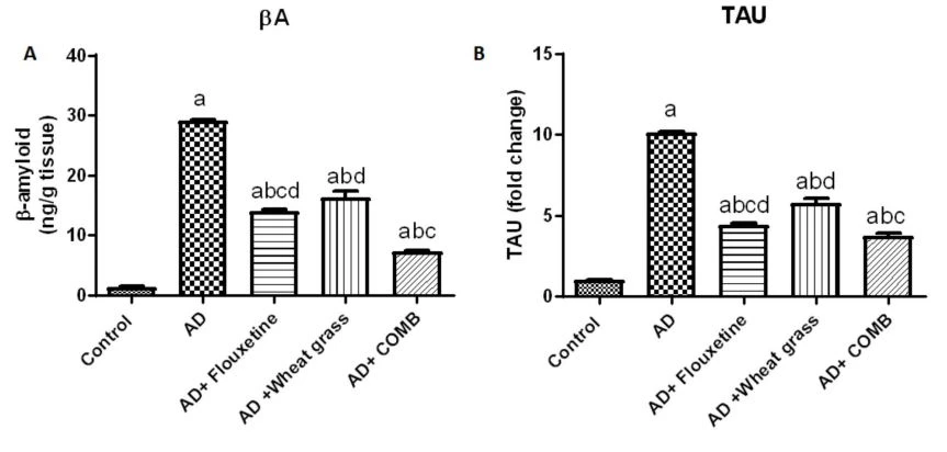 Effect of fluoxetine, wheatgrass, or their combination on cerebral Aβ(A), TAU(B),ACHE(C), and BDNF (D)