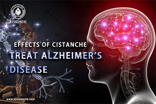 to Protect the brain and against Alzheimer's