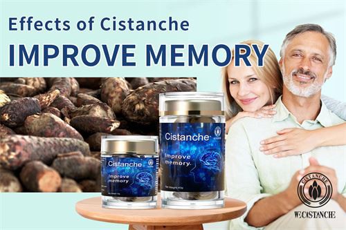 Cognitive improvement: cistanche
