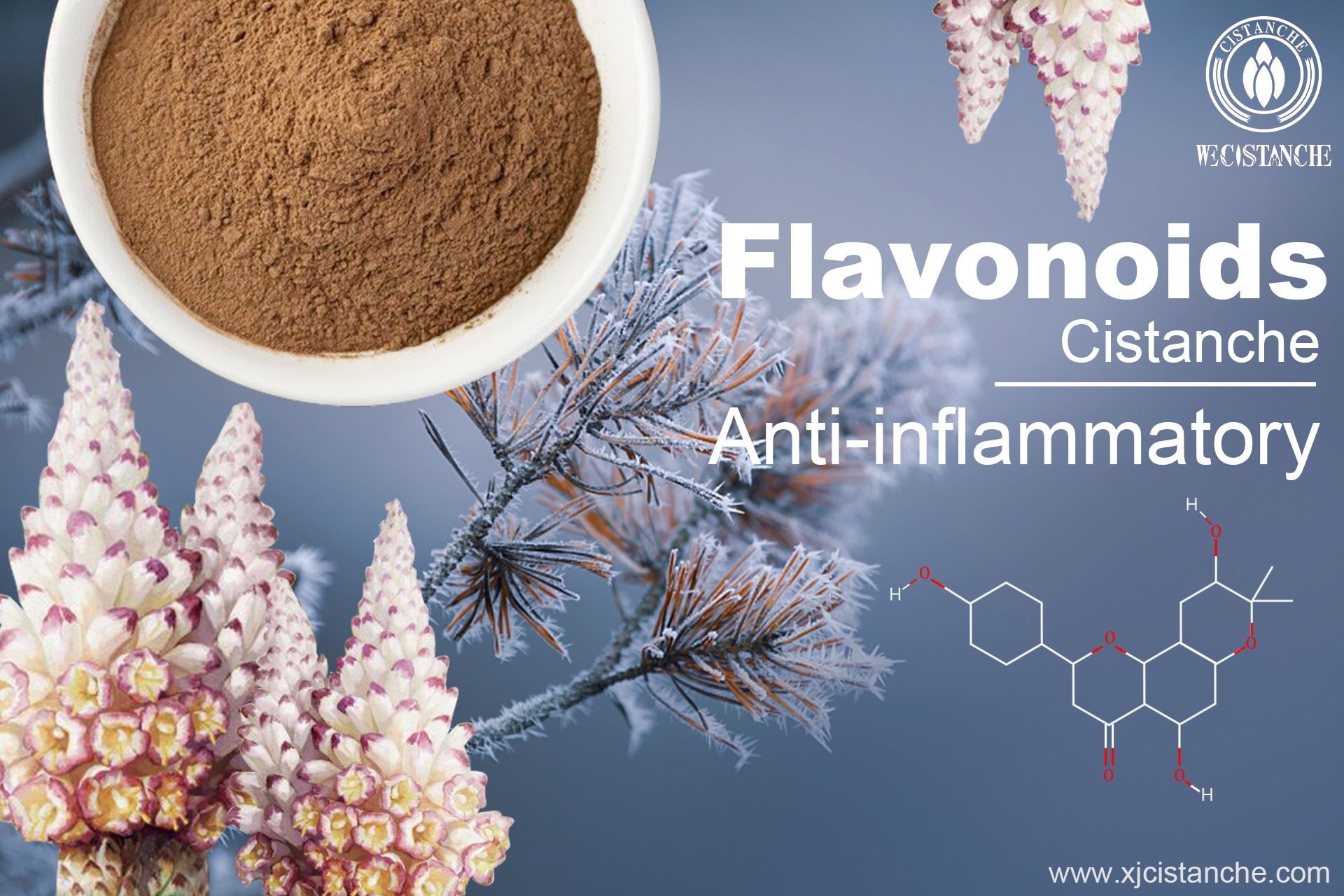 effect on inflammtion effect on inflammtion