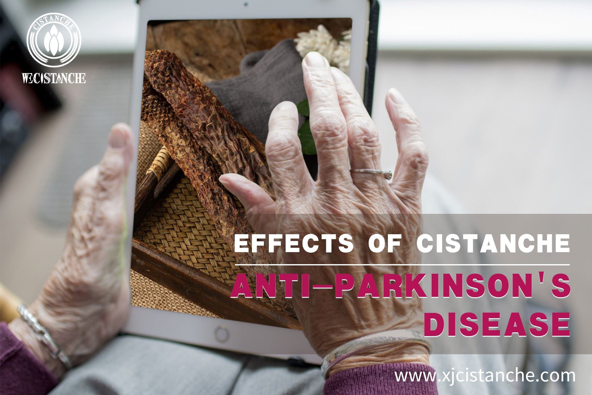 Cistanche anti parkinson's disease effects
