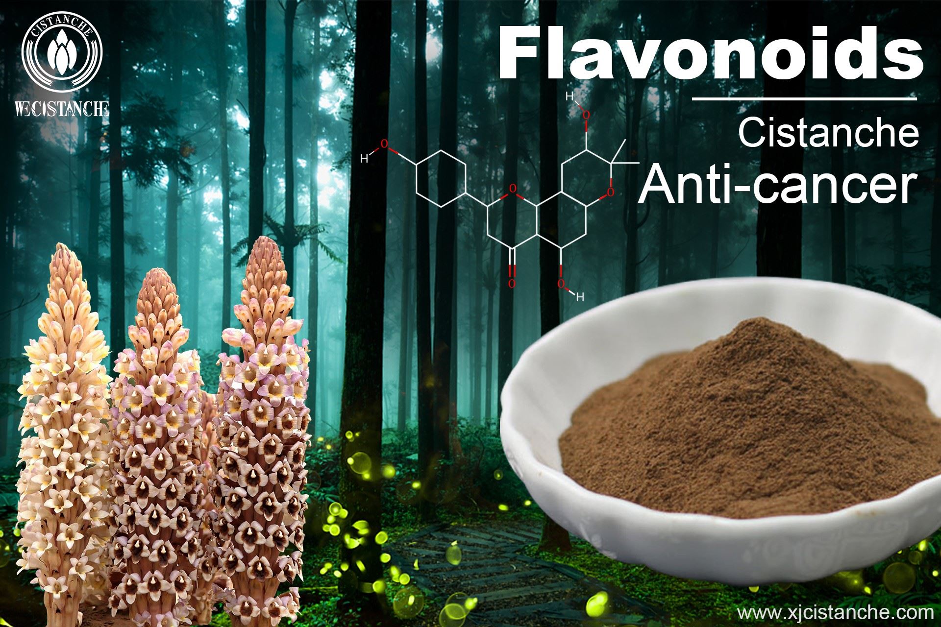 benefit of cistanche extract