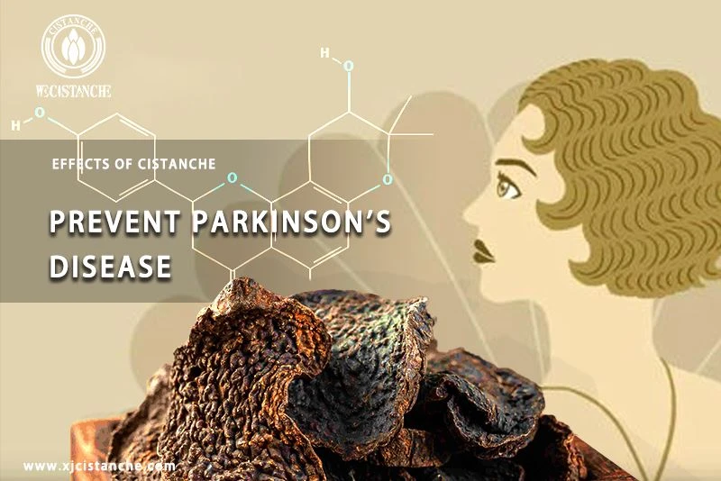 the way to prevent parkinson's disease the way to prevent parkinson's disease