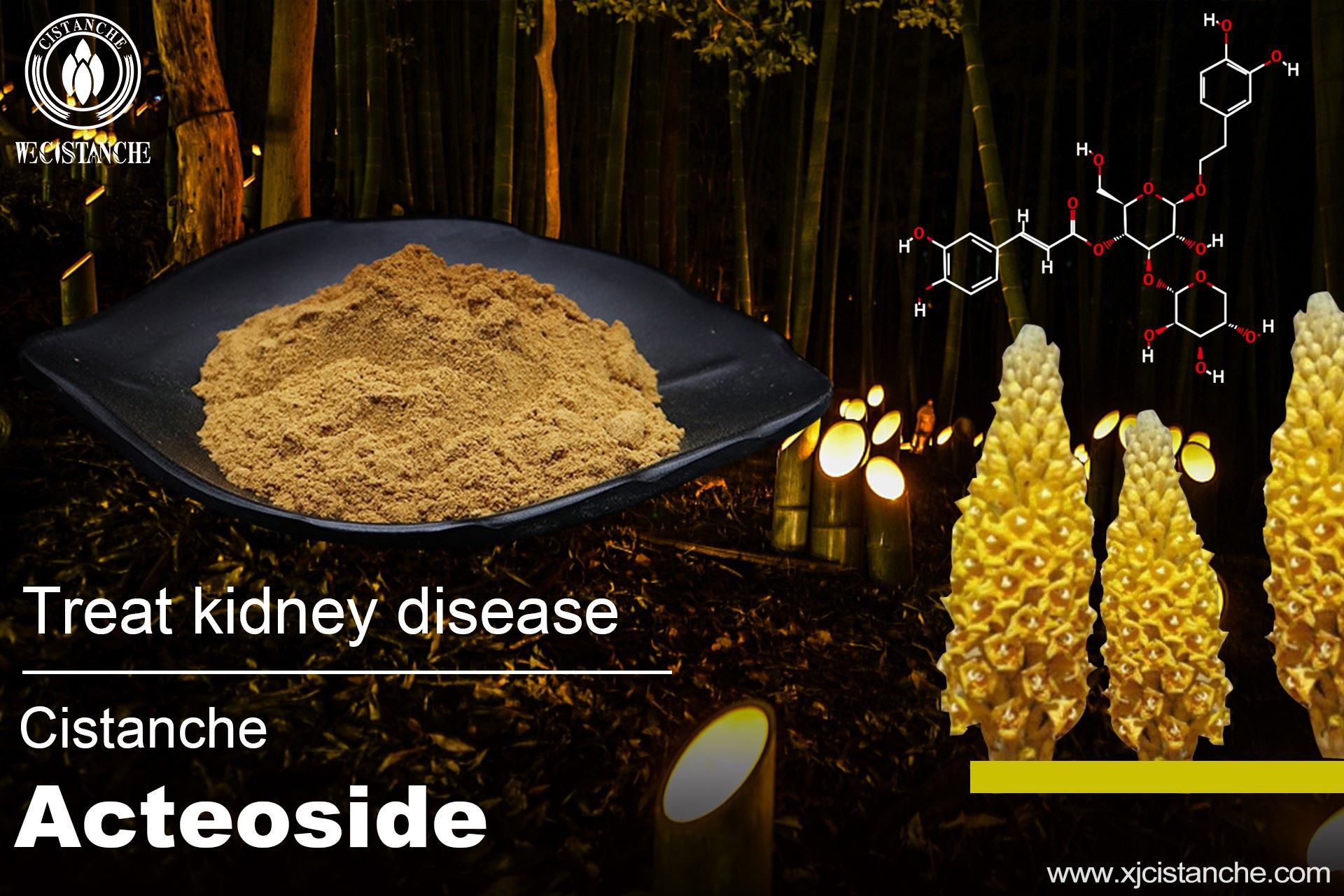 Acteoside herb