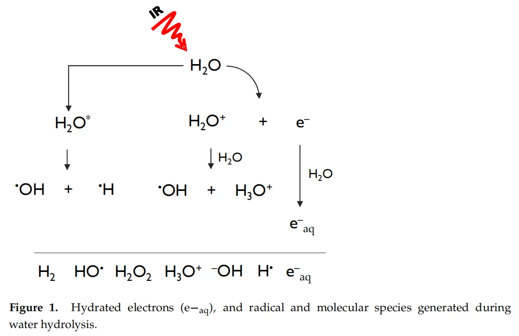 Hydrated electrons (e−aq), and radical and molecular species generated during water hydrolysis Hydrated electrons (e−aq), and radical and molecular species generated during water hydrolysis