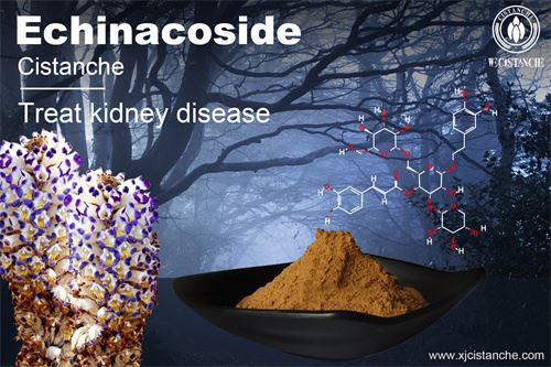 to relieve the chronic kidney disease