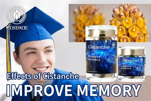 cistanche