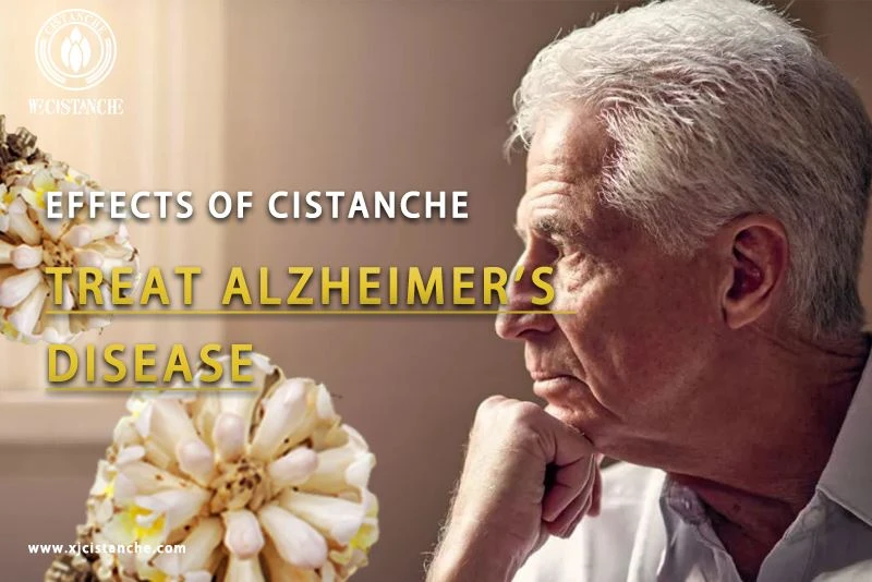 best herb for alzheimer's disease