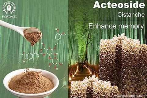 the herbal study for liver protection