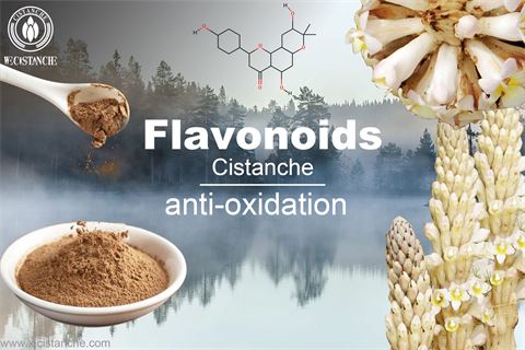 flavonoids' effect antioxidant. micronized purified flavonoid fraction 1000 mg uses