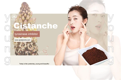 anti aging4