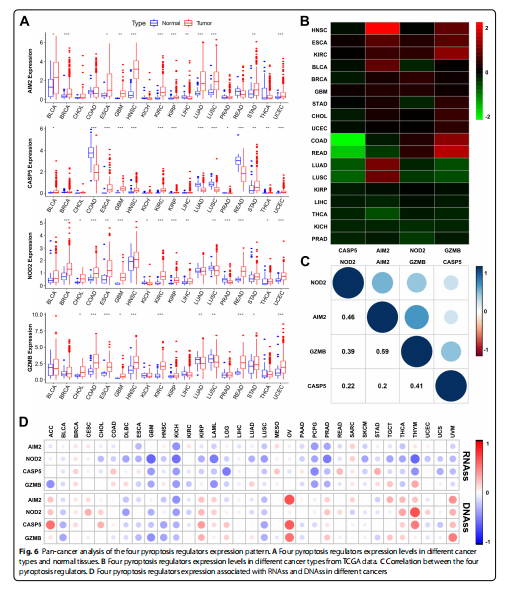 Pan-cancer analysis of the four pyroptosis regulators expression pattern. A Four pyroptosis regulators expression levels in diferent cancer  types and normal tissues. B Four pyroptosis regulators expression levels in diferent cancer types from TCGA data. C Correlation between the four  pyroptosis regulators. D Four pyroptosis regulators expression associated with RNAss and DNAss in diferent cancers