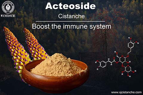 Cistanche Benefits