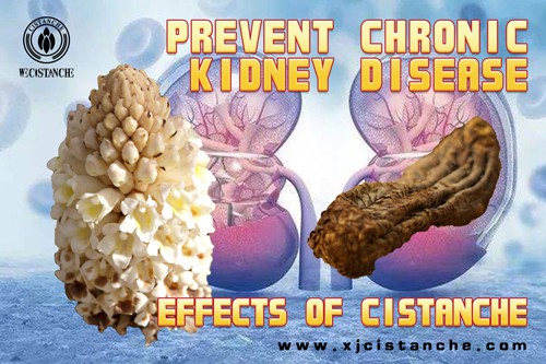 how to prevent renal disease