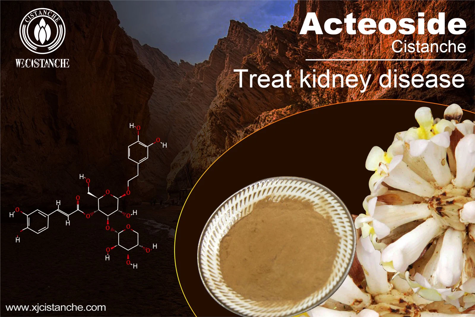 kidney disease treatment