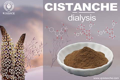 Cistanche Kidney  function impairment After Covid 