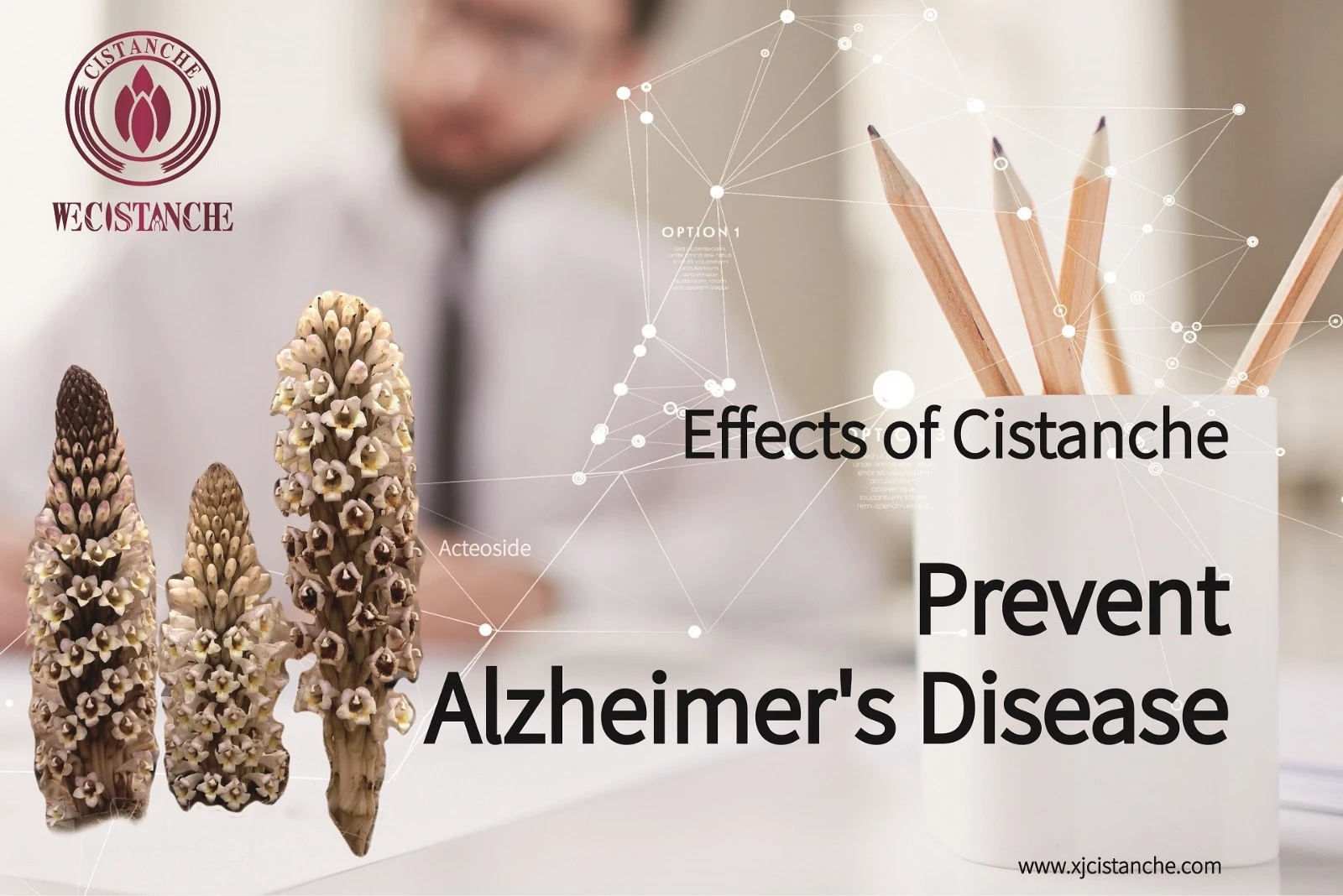 anti alzheimer's disease supplement anti alzheimer's disease supplement