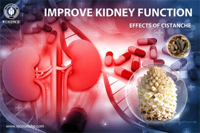 how to take cistanche for kidney