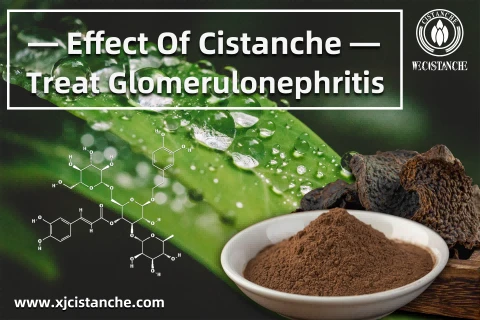 Cistanches Benefits