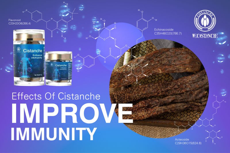 cistanche vitamin shoppe