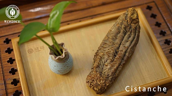 cistanche tubulosa benefits and side effects cistanche tubulosa benefits and side effects