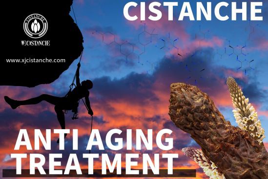 cistanche supplements for sale