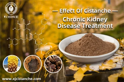 Cistanche benefits Cistanche benefits