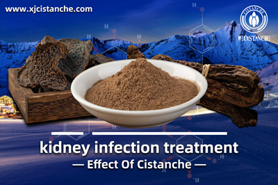 Cistanche benefits Cistanche benefits
