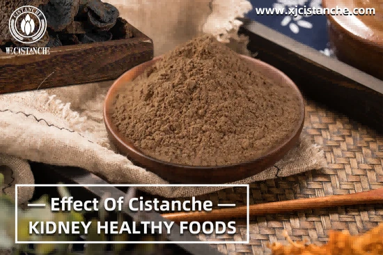 NATURAL ORGANIC CISTANCHE EXTRACT WITH 25% ECHINACOSIDE AND 9%