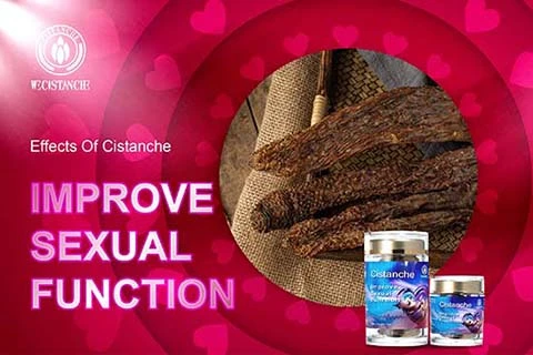 TOP QUALITY CISTANCHE FOR PENIS GROWTH