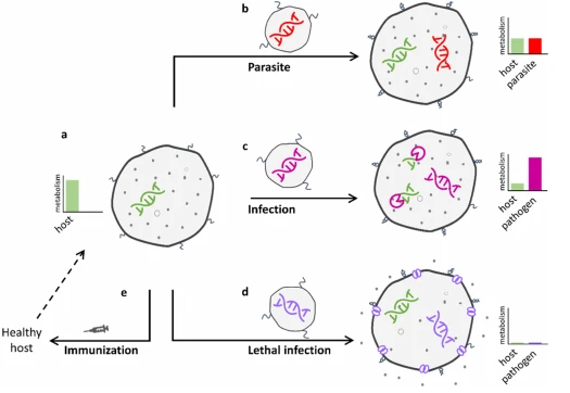 Figure 1 Figure 1