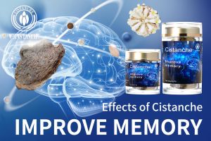 improve memory