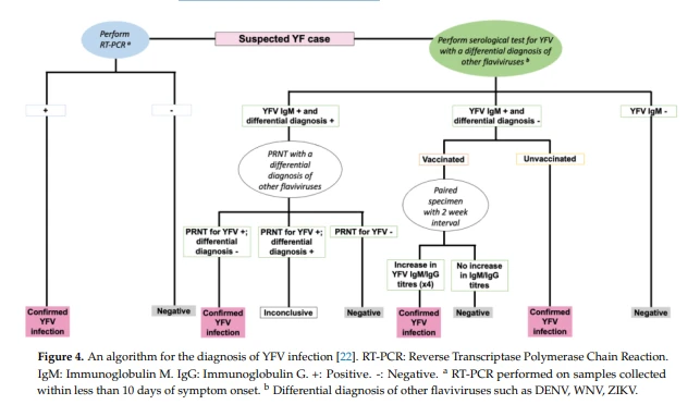 improve cognitive function improve cognitive function