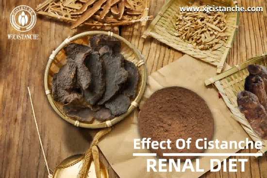 Cistanche Supplement Kidney Function Support Cistanche Supplement Kidney Function Support