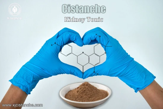 Cistanche Supplement Kidney Function Support Cistanche Supplement Kidney Function Support