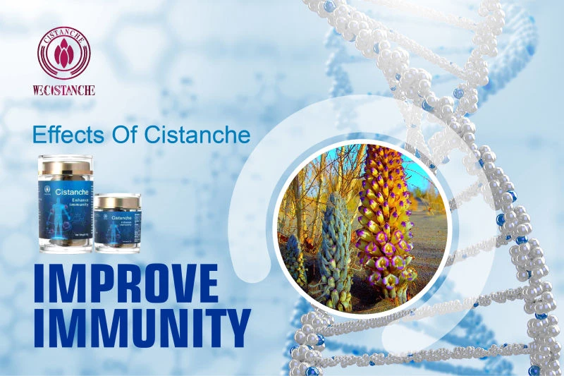 cistanche tubulosa for improving immune function