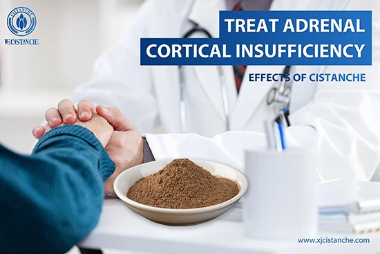 Cistanche deserticola efficacy-Tonifying kidney (8) Cistanche deserticola efficacy-Tonifying kidney (8)